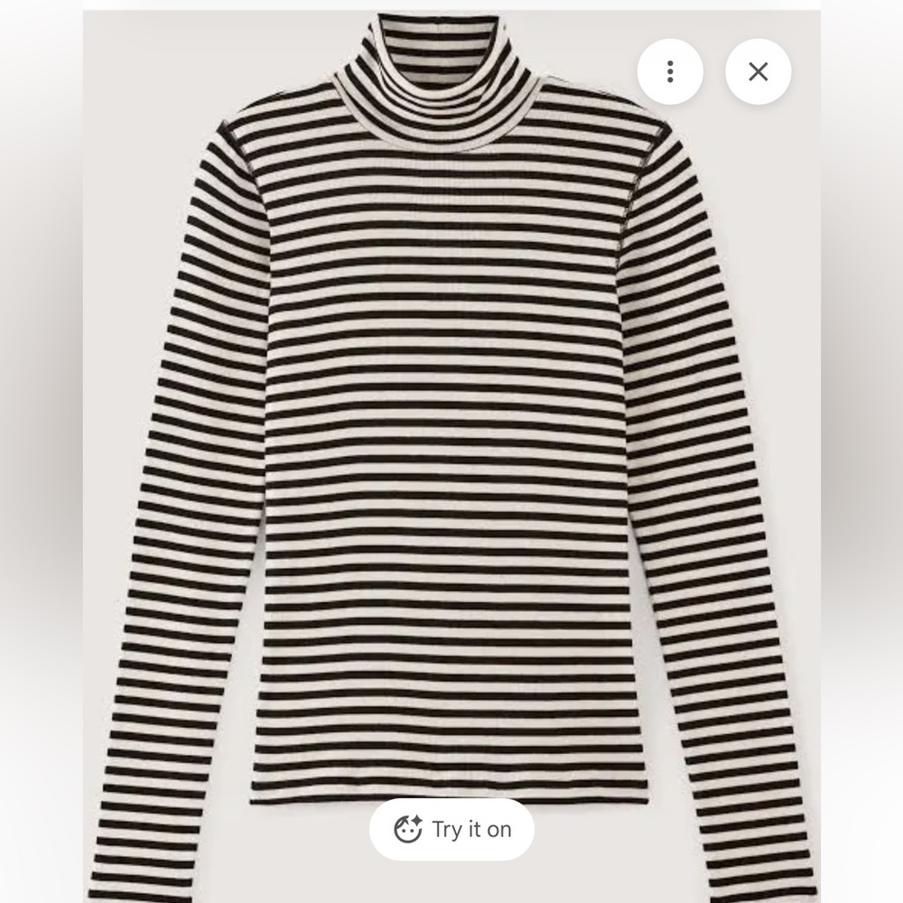 Everlane The Luxe Rib Turtleneck - Picture 2 of 8
